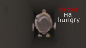 мистическая охота на hungry в чикен Ган!🐔 мой ТГК в описании