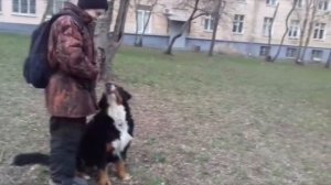 До/После. Апортировка