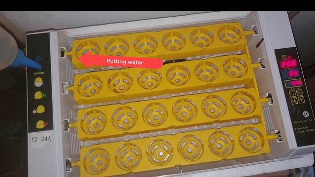 24A Automatic Mini Incubator ! Hhd 24 Egg Incubator.