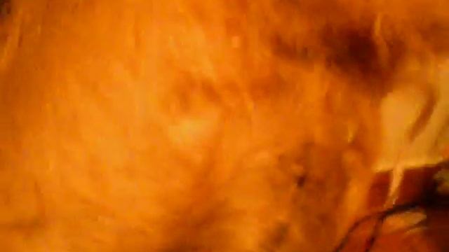 Sasha was constipated... смотреть онлайн