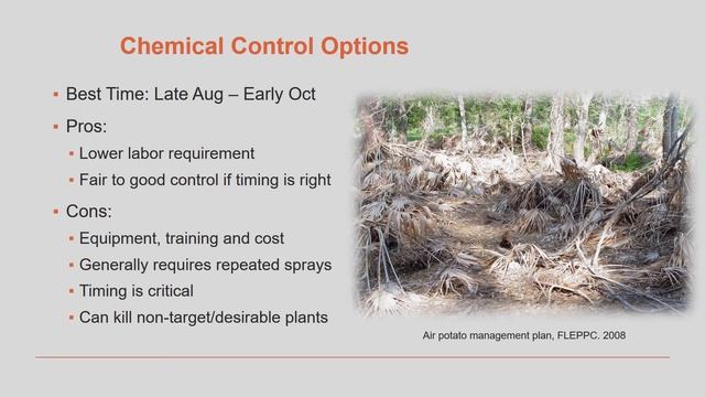 Air Potato Patrol Module 5- Control Options