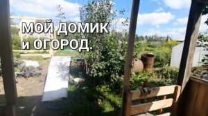 Купили заброшенную дачу / Обзор домика🏡 Уже лучше 🍃Трава растёт как на дрожжах 🍃