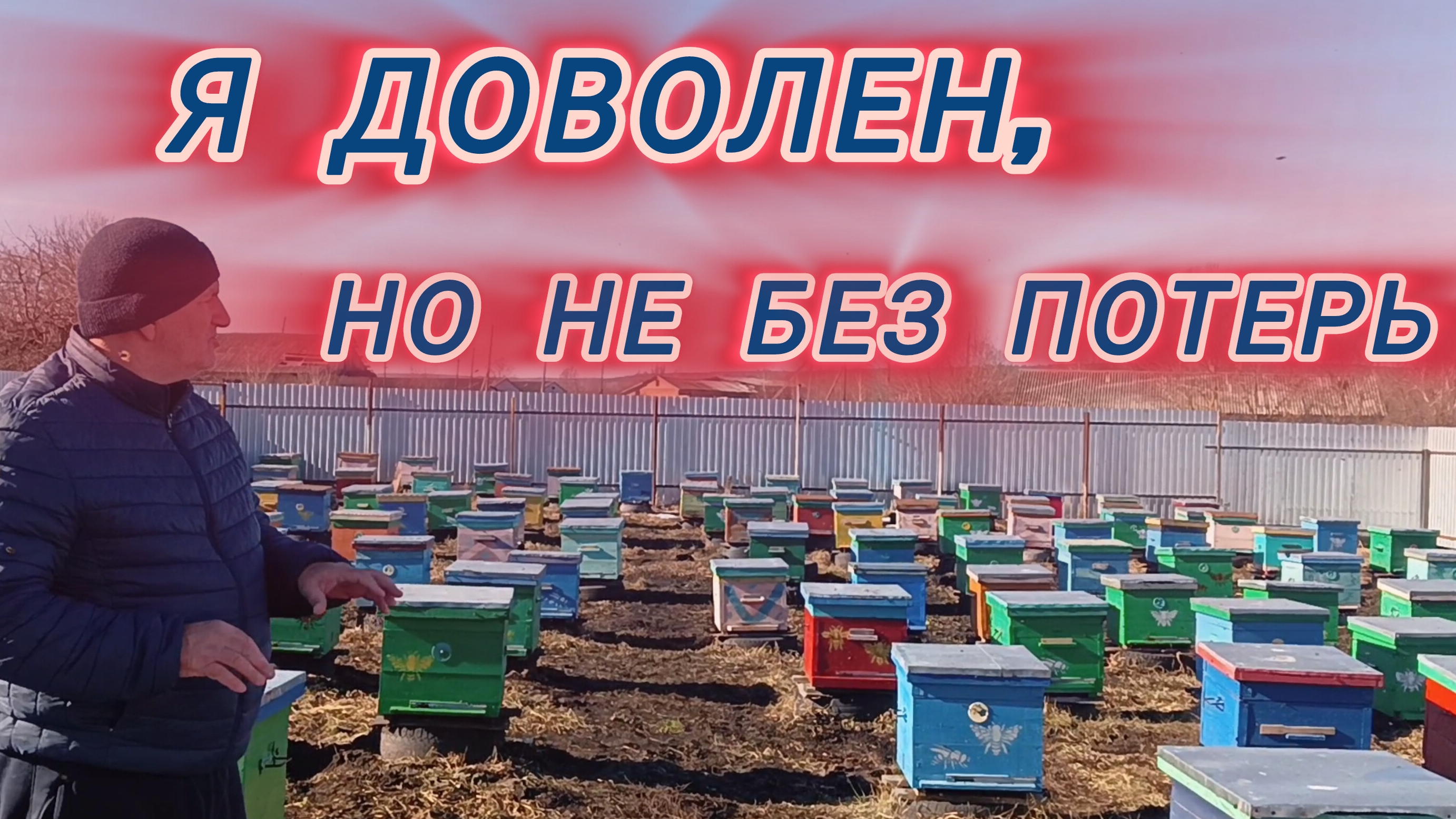 Я доволен, но не без потерь 🐝 смотреть онлайн
