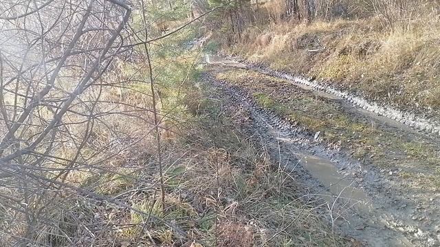 осень!  на лебедке на тормозах из лужи в горку ! лебедку надо дорабатывать