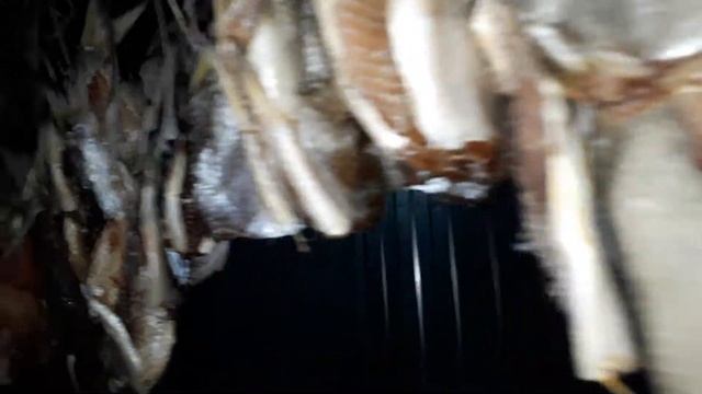 Сушим рыбу