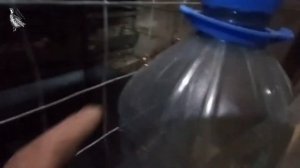 Лучшая клетка для кур несушек своими руками 2