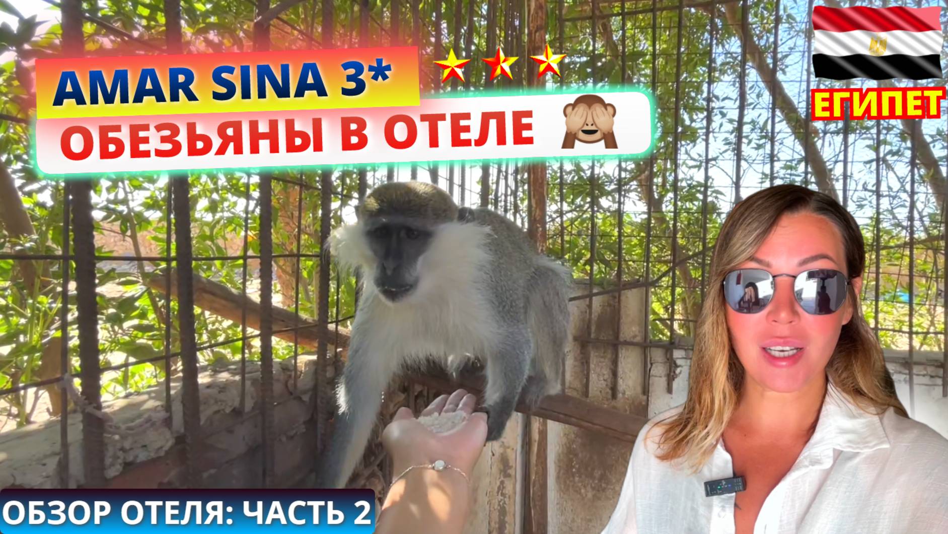 Египет. Зоопарк в трехзвездочном отеле Amar Sina Boutique Village 3* Шарм эль Шейх смотреть онлайн
