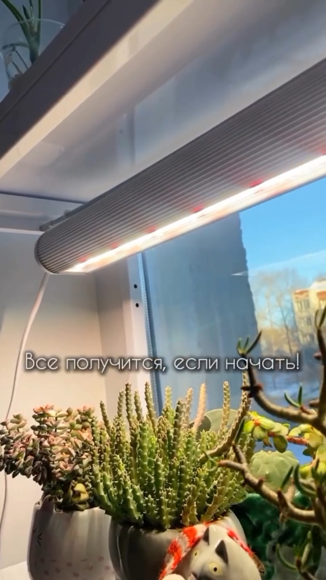 Сезон рассады в самом разгаре! 🌱 смотреть онлайн