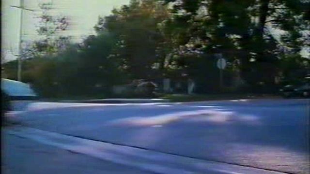 Cold Steel (1987)