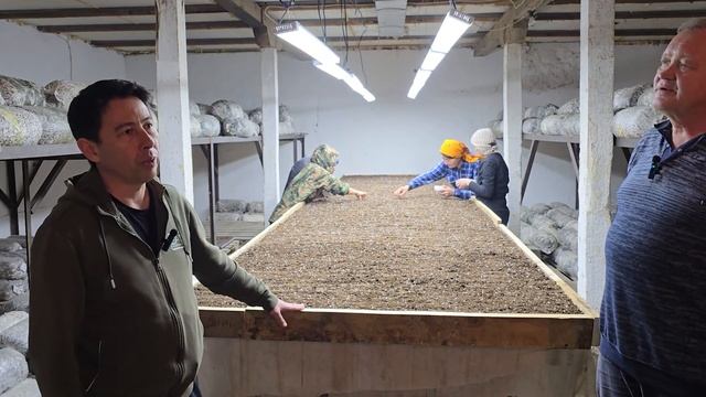 Как вырастить рассаду зимой смотреть онлайн