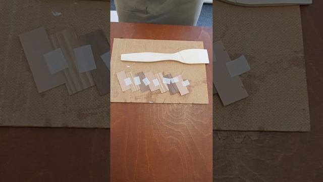 Мышляев Сергей, 8 класс МБОУ 