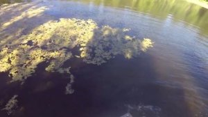 вч 3745  томск (2015)