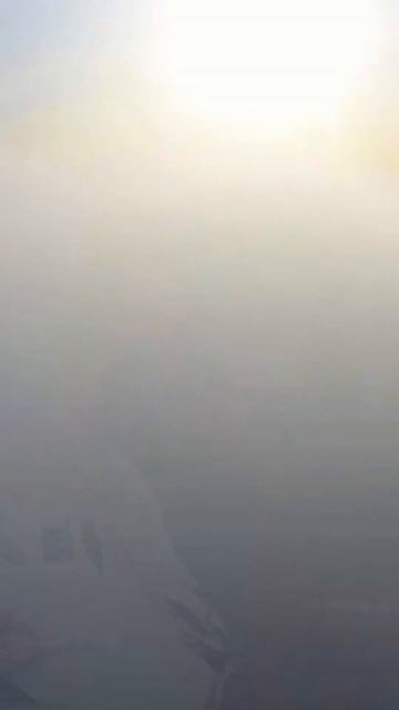 Моя страна❤️ #мойроссийскийфлаг #россия #лето2023 #топ #русскаямузыка #алисасупронова смотреть онлайн