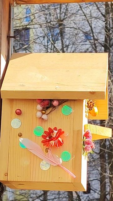 Волшебный скворечник 🌷 смотреть онлайн