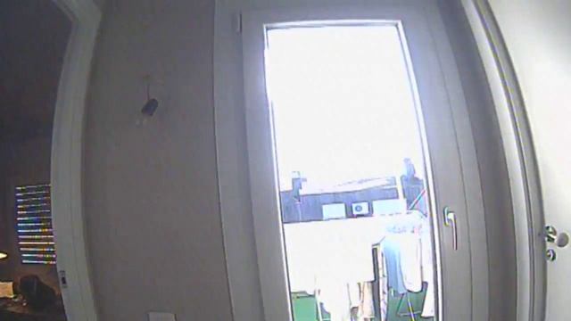 HMDVRtest смотреть онлайн