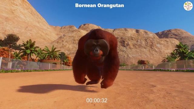 CRITICALLY ENDANGERED ANIMALS RACES IN PLANET ZOO, RHINOCEROS, GORILLA, HIPPOPOTAMUS, ORANGUTAN смотреть онлайн