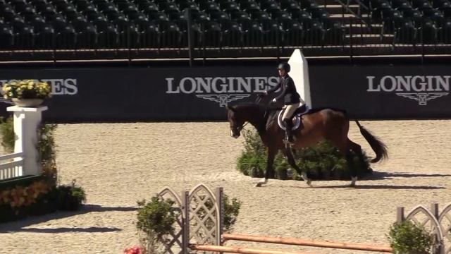 Winning Round: $2,500 Green Hunter 3'9" Handy Elizabeth Boyd and Ferrari - 2021 WIHS смотреть онлайн