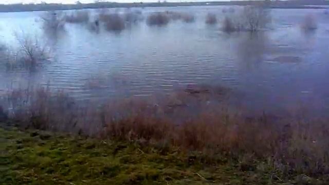 Паводок   2012.mp4