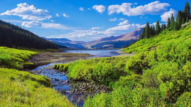Nature sounds Meditation forest sounds of birds singing relaxation смотреть онлайн