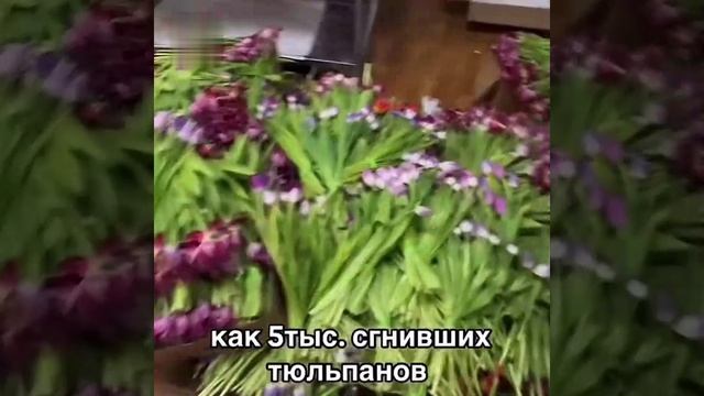 Мамкины бизнесмены закупились тюльпанами и надеялись срубить легких денег перед 8 марта, а получили смотреть онлайн