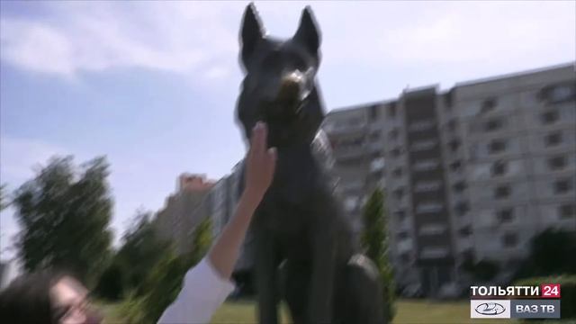 Анонс программы «Мой Тольятти. Памятник преданности»