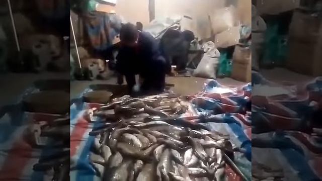 Счастливая жена . смотреть онлайн