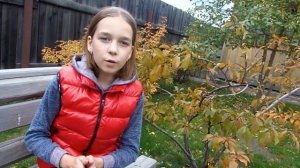 Мое первое видео/ЗНАКОМСТВО/Diana Chistyakova