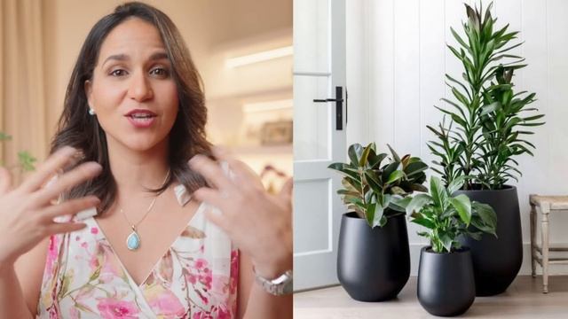 ✅ MEJORES TRUCOS PARA DECORAR CON PLANTAS 😱 Ideas de Lujo Fáciles para Interiores Elegantes смотреть онлайн