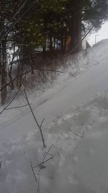 эпичное бодение смотреть онлайн