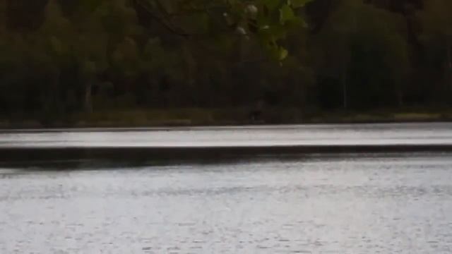 Изготовление топора в лесу смотреть онлайн