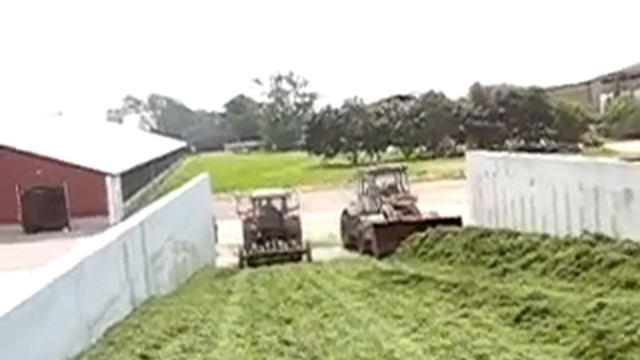 Трамбовщик, заготовка корма в Чехии смотреть онлайн