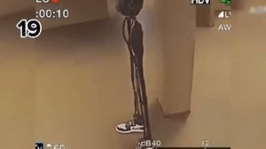 ВСЕ NPC В РЕГРЕТЕВАТОР