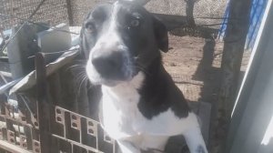 БиМ  сериал, 1-4 сезоны