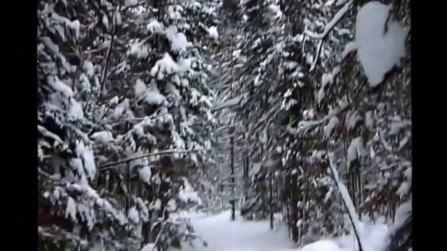 Не ветер бушует над бором.