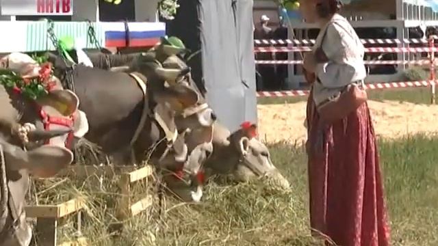 Земля и люди 14-07-16 смотреть онлайн