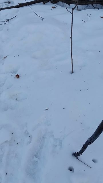 я с Максимом Спускаюсь на Волгу часть 2/6 смотреть онлайн