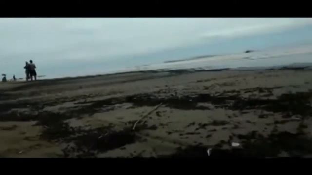 МИЛЛИОНЫ ЖУКОВ НАВОДНИЛИ ПЛЯЖ В АРГЕНТИНЕ смотреть онлайн