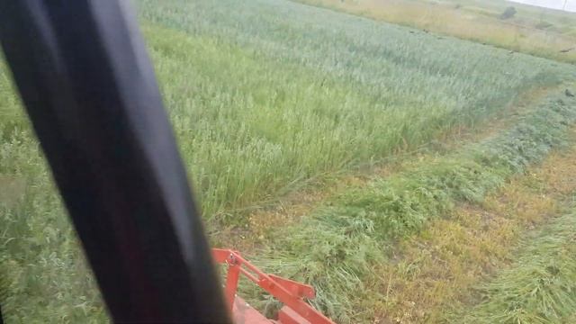 Lovol 504 - косим