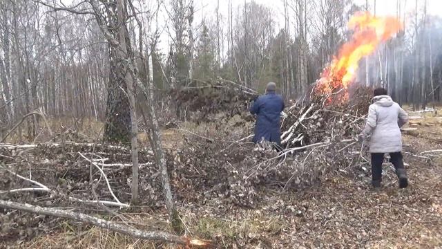Жгем сучки и разбираемся с соседом. Дрова в деревне. Заготовка. смотреть онлайн