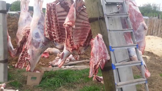 подписывайтесь на нашем канале увидите интересные видео смотреть онлайн