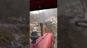 Трелевать бука на ДТ 75 с лебедкой ТДТ 55