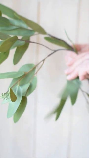 [HD] 31" Faux Eucalyptus Leaf Stem смотреть онлайн