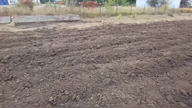 ЮМЗ с плугом смотреть онлайн