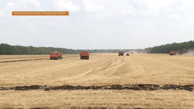 Уборочная кампания-2018 на Ставрополье уже близится к своему завершению смотреть онлайн