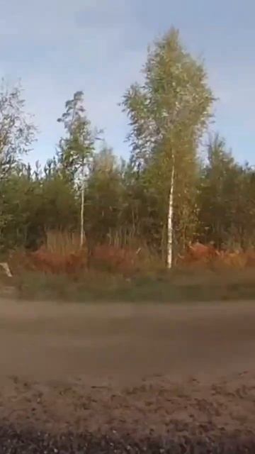 Classic ADV Friday! Memories with the BMW 1200 GS Adventure смотреть онлайн