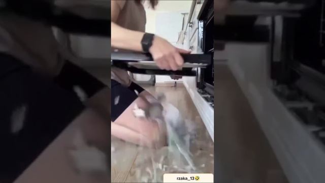 Подборка приколов №2