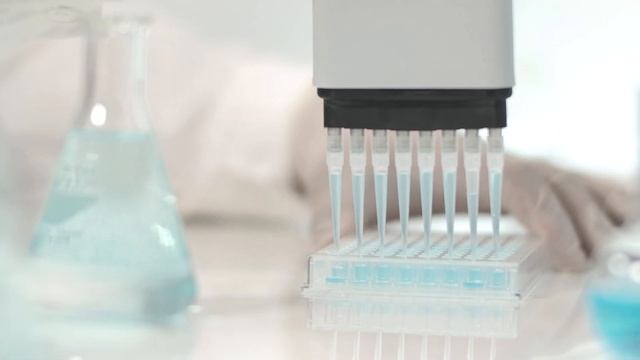Korean Skin Care Secrets: when innovation meets the beauty of the past смотреть онлайн