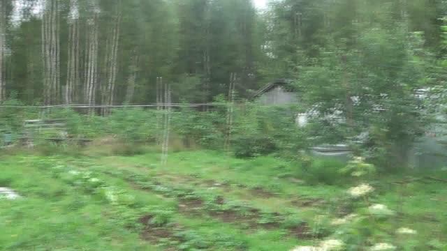 в лесной глуши смотреть онлайн