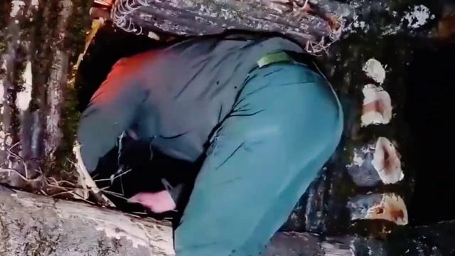 Лучший домик в стиле Bushcraft смотреть онлайн