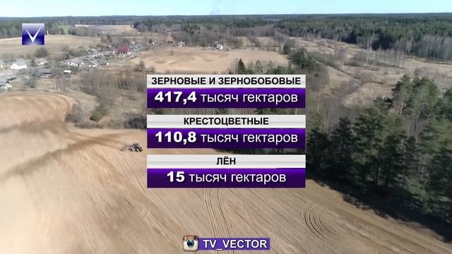 Посевная кампания набирает обороты на Витебщине